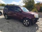 HONDA PILOT EXLN photo