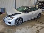 2019 NISSAN MAXIMA S - 1N4AA6AV6KC367376