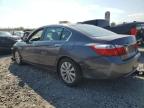 Lot #3006930508 2014 HONDA ACCORD EXL