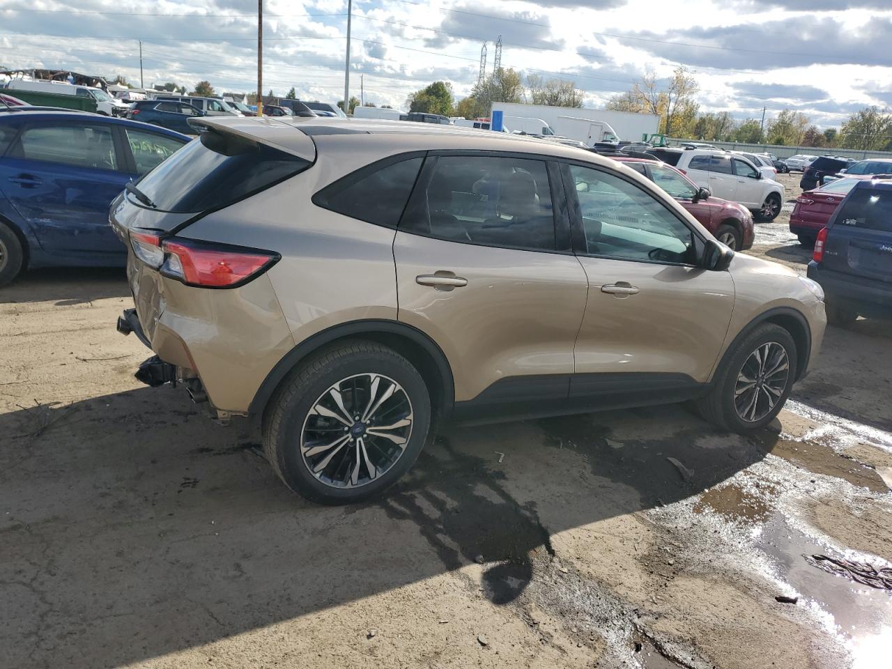 Lot #2991233106 2021 FORD ESCAPE SE