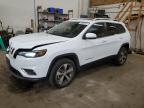 2021 JEEP CHEROKEE L - 1C4PJMDX8MD109783