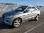 MERCEDES-BENZ ML 350 photo