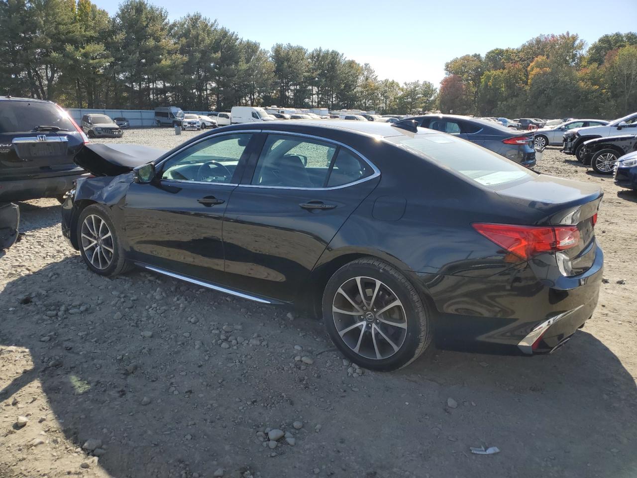 Lot #2991706996 2018 ACURA TLX TECH