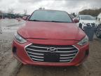 HYUNDAI ELANTRA SE photo