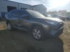 TOYOTA RAV4 XLE photo