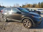 HONDA CR-V EX photo