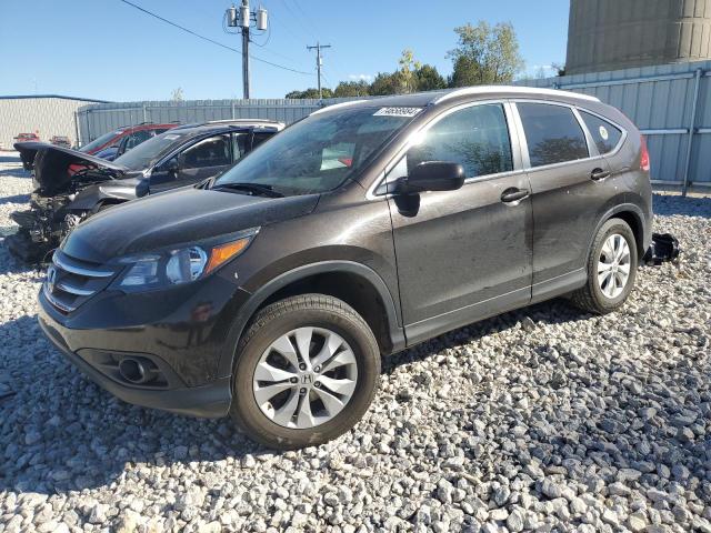 HONDA CR-V EXL 2014 black  gas 2HKRM4H75EH697048 photo #1