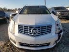 CADILLAC SRX LUXURY photo