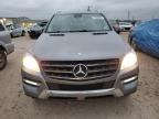 MERCEDES-BENZ ML 350 photo