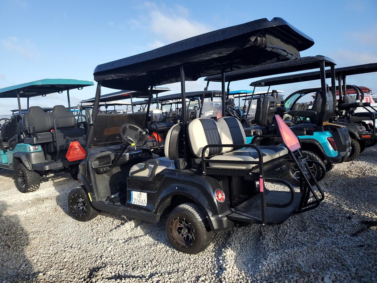 Lot #3029726693 2023 STARCRAFT GOLF CART