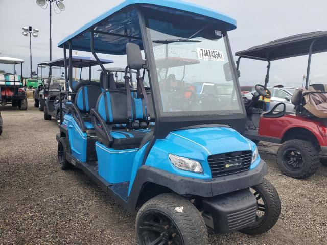 2021 GOLF CART #3029726645