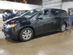 HONDA ODYSSEY SE photo