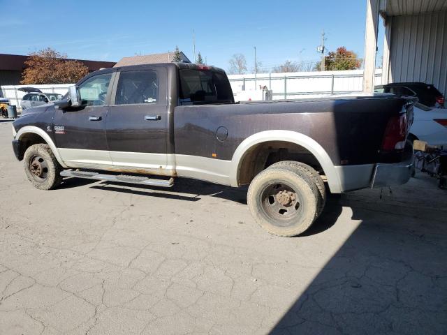 DODGE RAM 3500 2010 brown crew pic diesel 3D73Y4CL4AG138954 photo #3