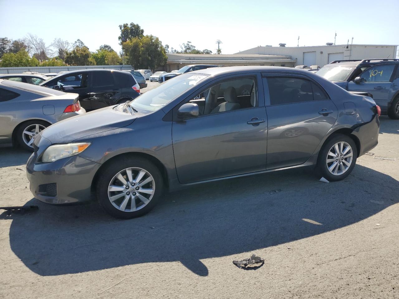 Lot #3028325854 2009 TOYOTA COROLLA BA