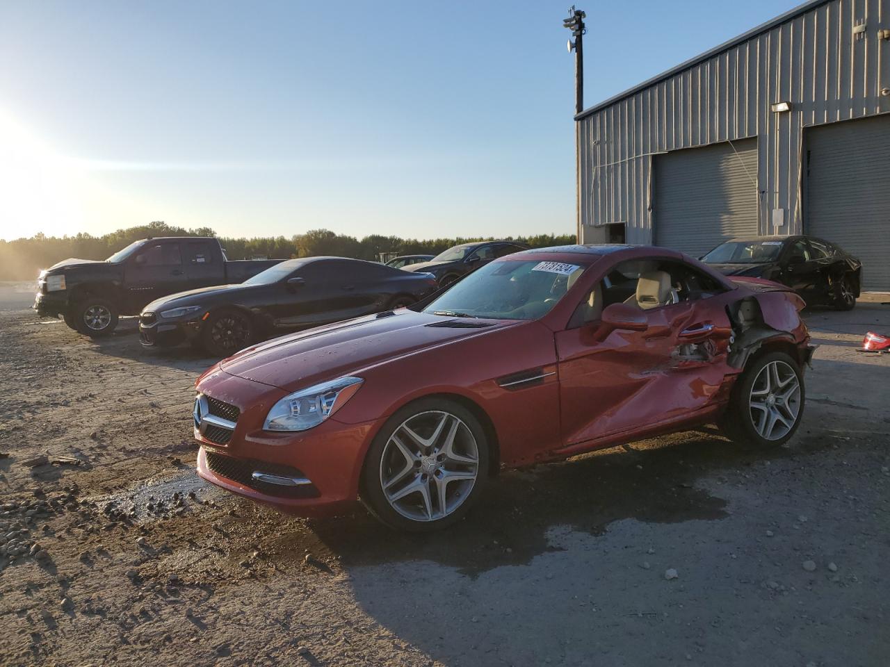 Lot #2945500099 2016 MERCEDES-BENZ SLK 300