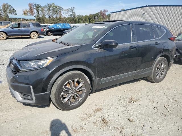 2020 HONDA CR-V EXL - 7FARW1H8XLE027710