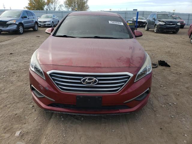 VIN 5NPE24AF7GH318365 2016 HYUNDAI SONATA no.5