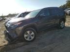 TOYOTA RAV4 XLE photo