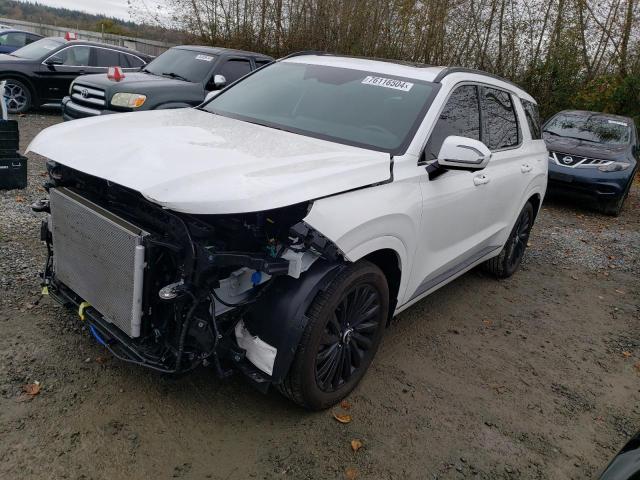 2024 HYUNDAI PALISADE C #2986928848