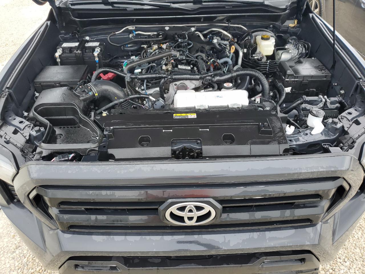 Lot #3033162184 2024 TOYOTA TACOMA DOU