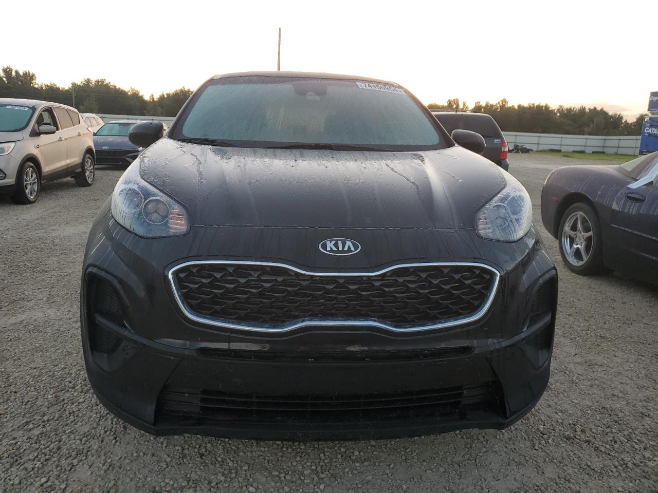 Lot #2897428233 2022 KIA SPORTAGE L