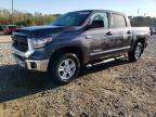 2019 TOYOTA TUNDRA CRE - 5TFDW5F17KX829557