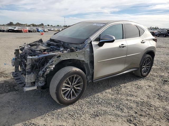 2023 LEXUS NX 250 #3006182465