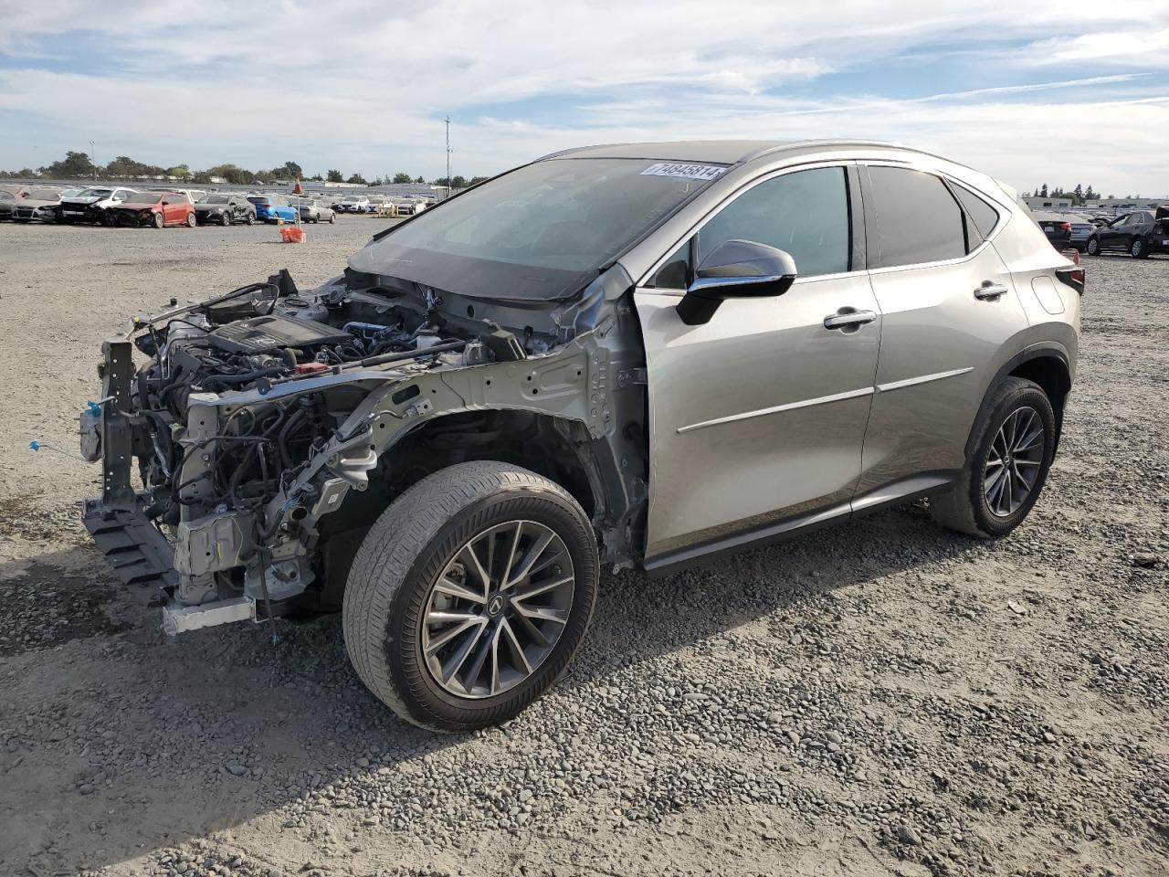 Lot #3006182465 2023 LEXUS NX 250