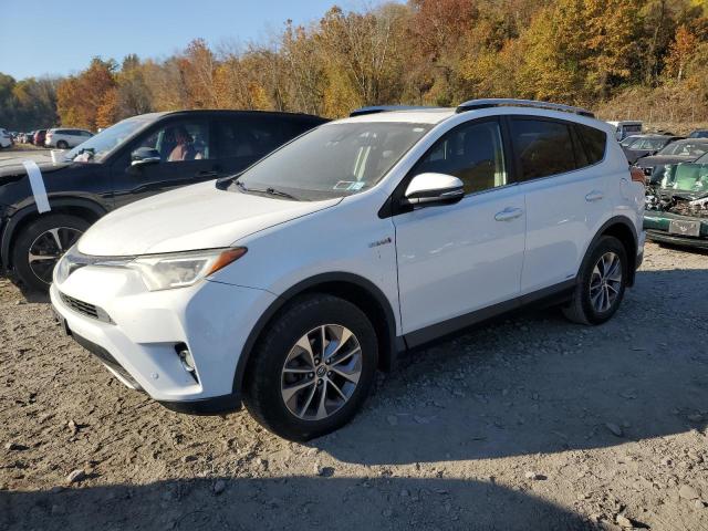 VIN JTMRJREV7GD045422 2016 Toyota RAV4, Xle no.1