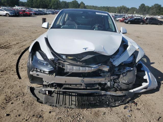 2021 TESLA MODEL Y - 5YJYGDEF5MF121584