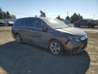 HONDA ODYSSEY EX photo