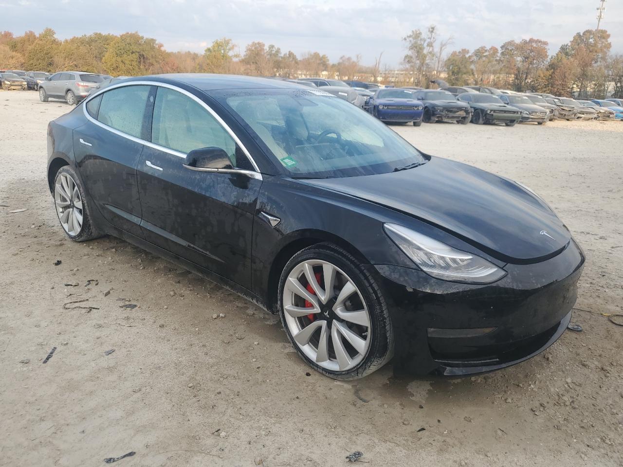 Lot #3033099021 2019 TESLA MODEL 3