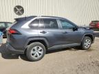 Lot #3023285930 2020 TOYOTA RAV4 LE