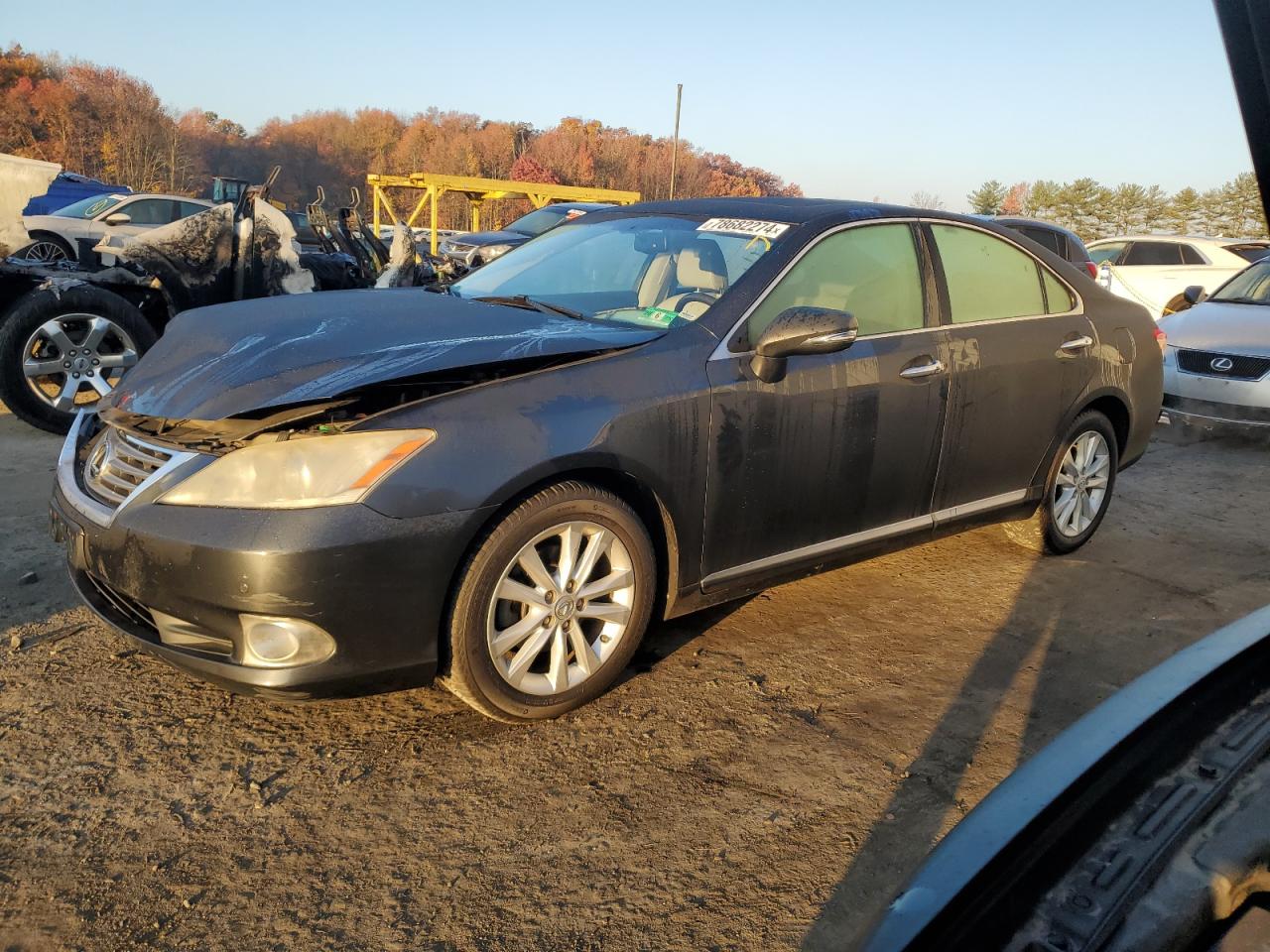 Lot #2962573798 2010 LEXUS ES 350