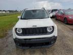 JEEP RENEGADE L photo