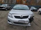 Lot #2940796453 2009 TOYOTA COROLLA BA