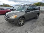 TOYOTA RAV4 photo