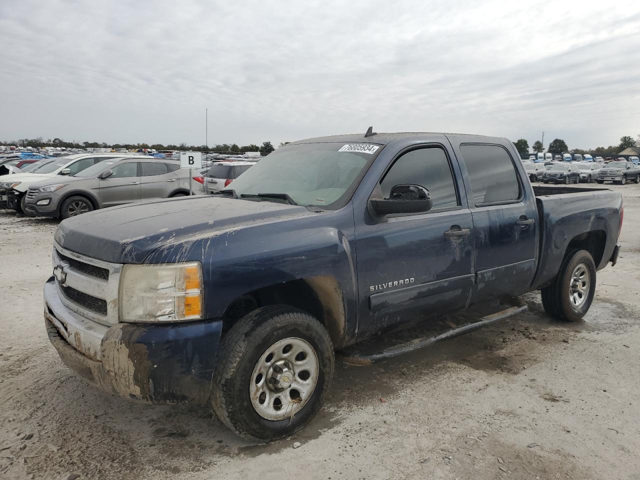 Lot #3024685574 2010 CHEVROLET SILVERADO