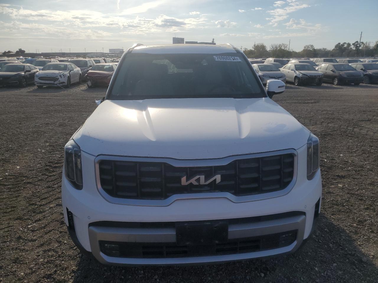 Lot #2996372382 2023 KIA TELLURIDE