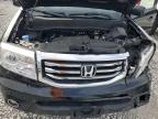 HONDA PILOT EXL photo