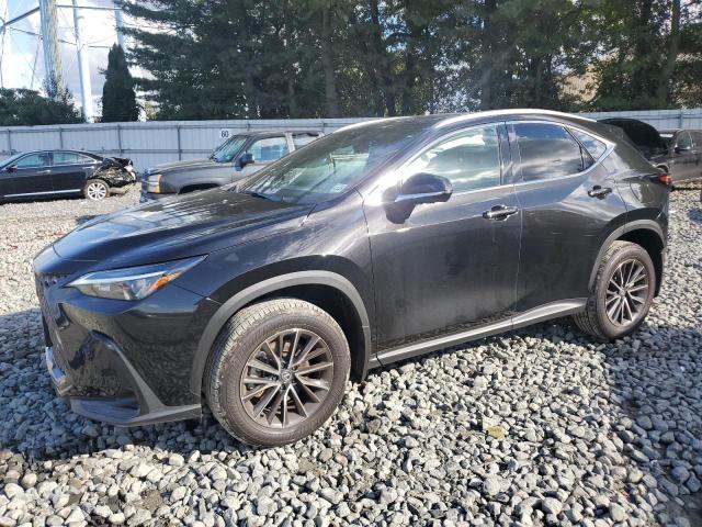 LEXUS NX 350 PRE 2024 black  gas 2T2GGCEZ7RC051142 photo #1