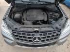 MERCEDES-BENZ ML 350 photo