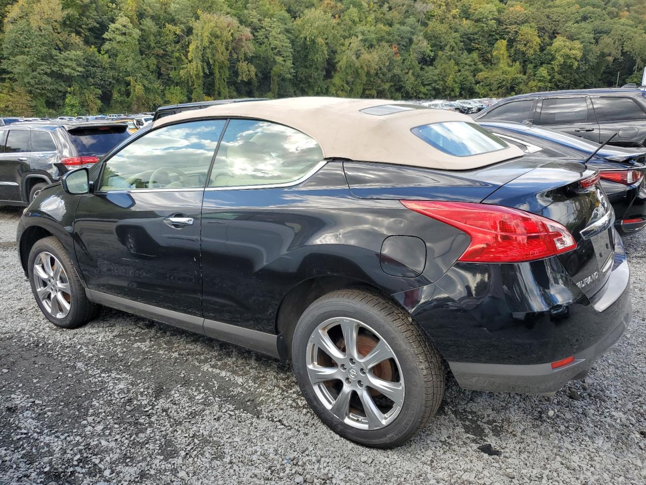 Lot #2874358956 2014 NISSAN MURANO CRO