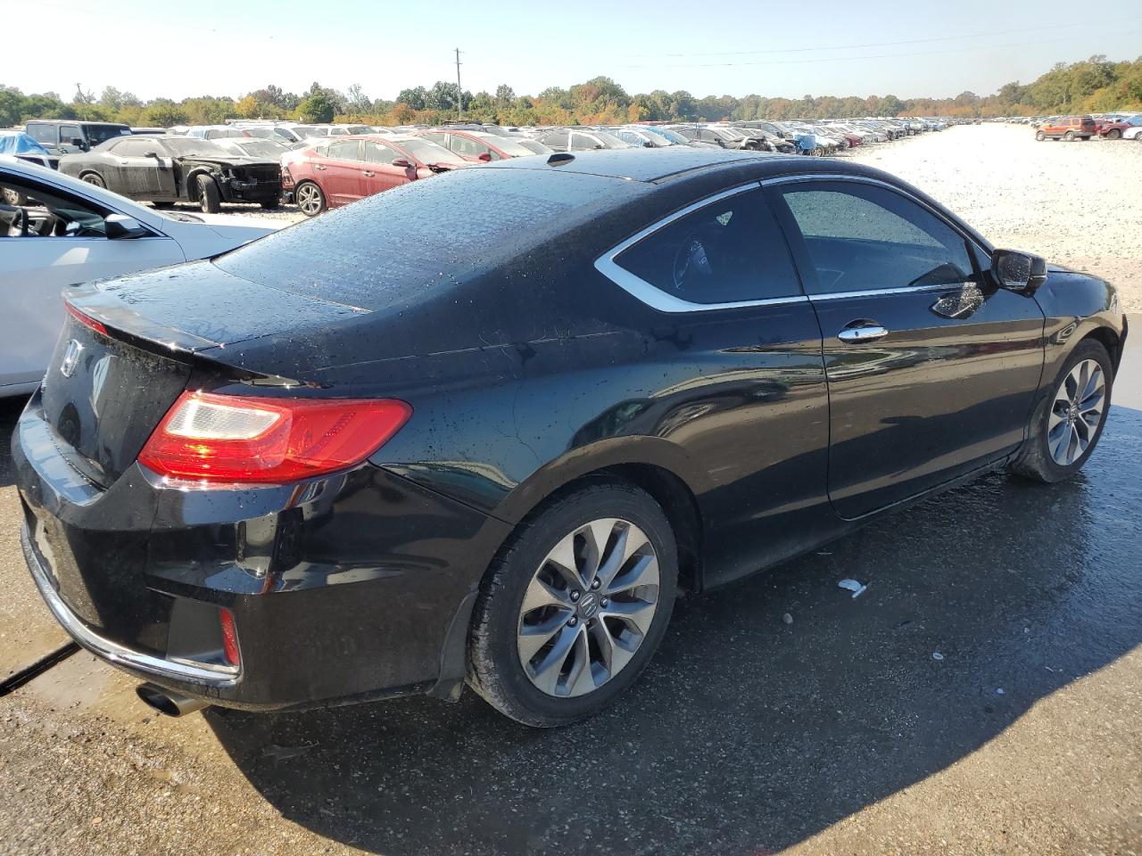 Lot #3009204285 2013 HONDA ACCORD EXL