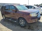 HONDA PILOT EXL photo