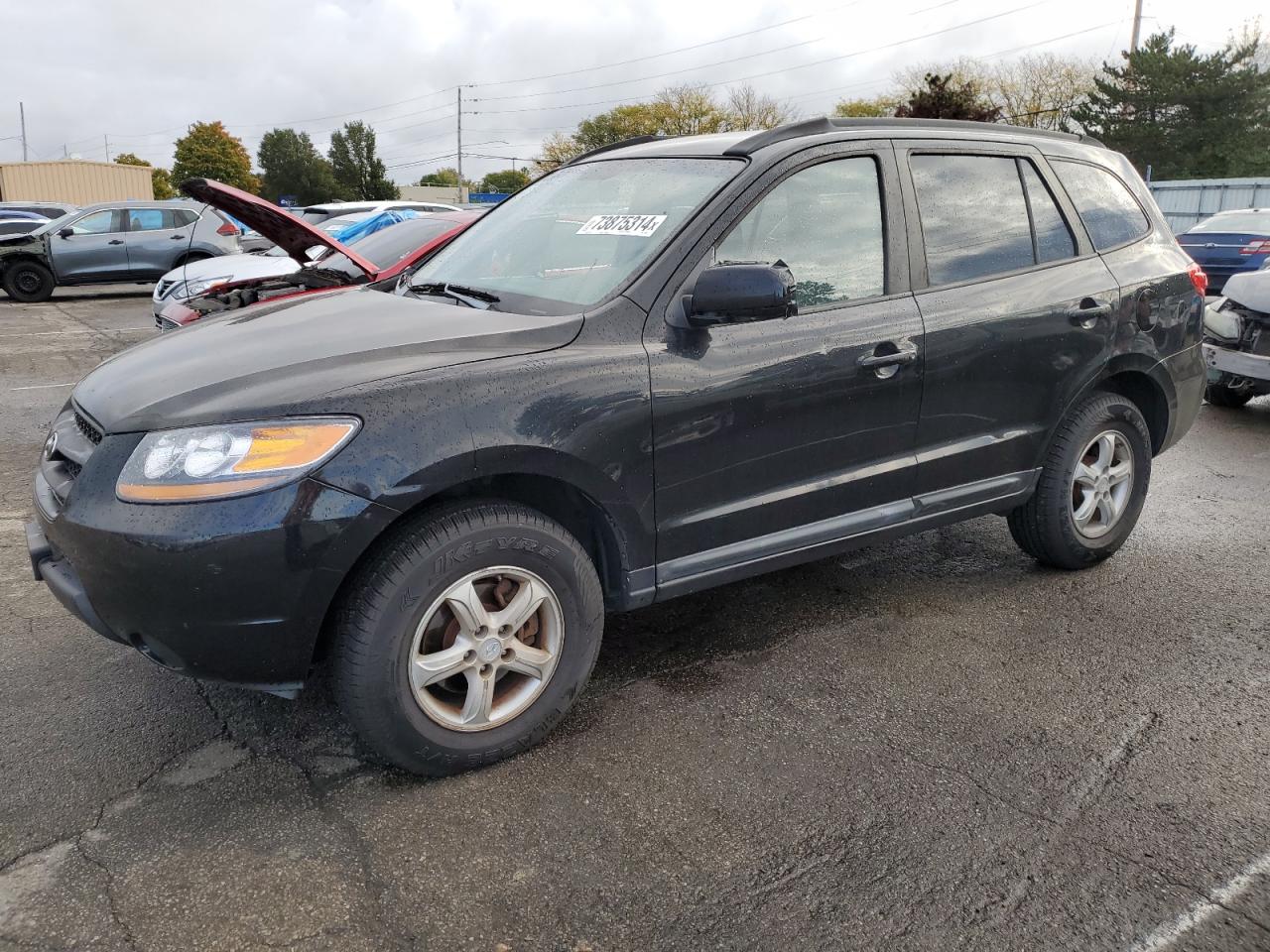 Hyundai Santa Fe 2008 Wagon body style