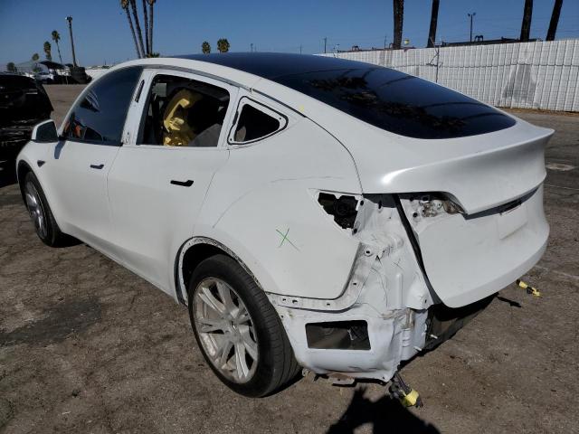 2021 TESLA MODEL Y - 5YJYGAEE3MF174404