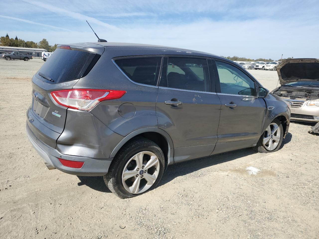 Lot #3026055962 2014 FORD ESCAPE SE