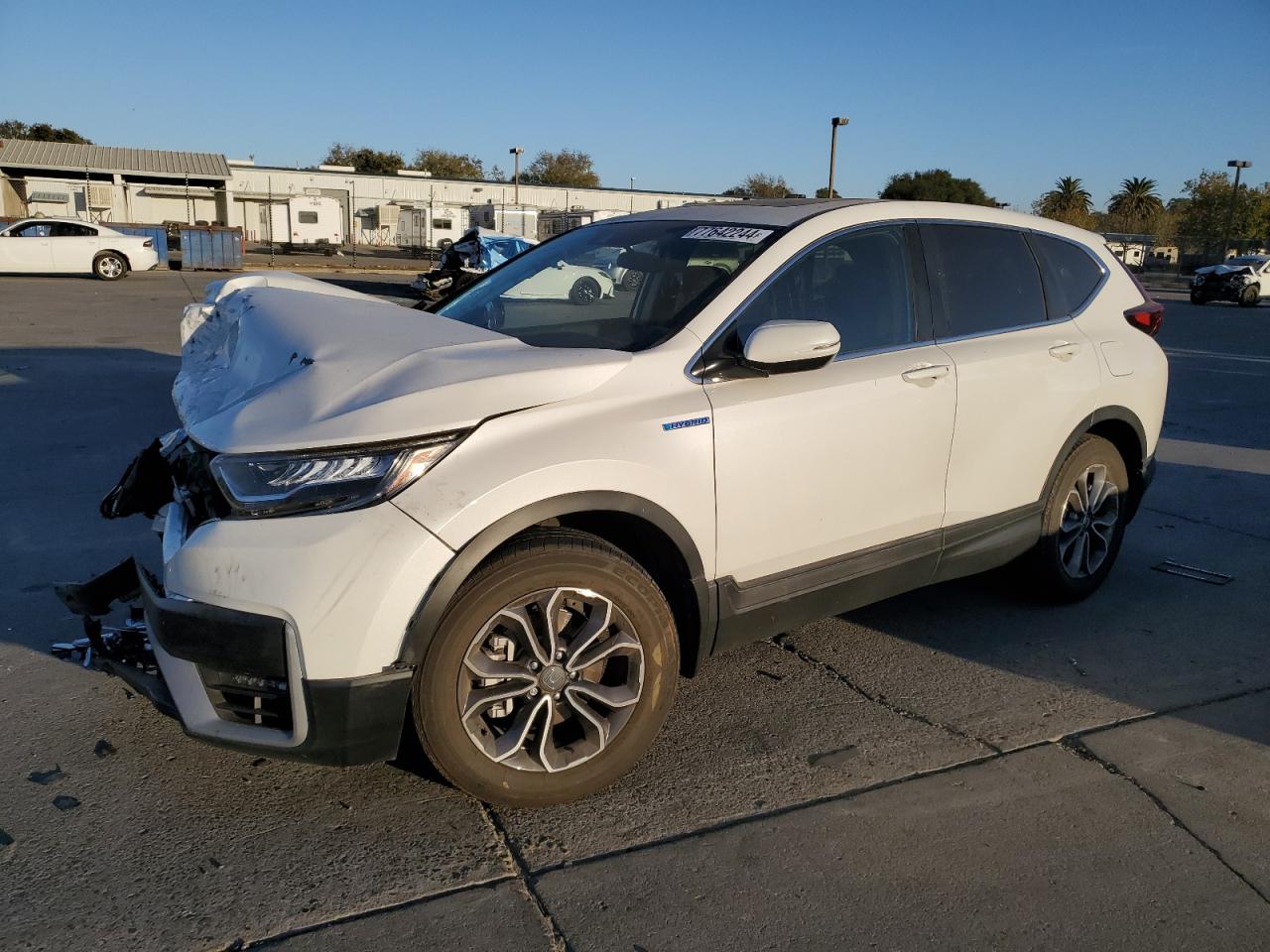 Lot #2974108364 2022 HONDA CR-V EX