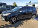 Lot #3033048989 2015 FORD ESCAPE TIT